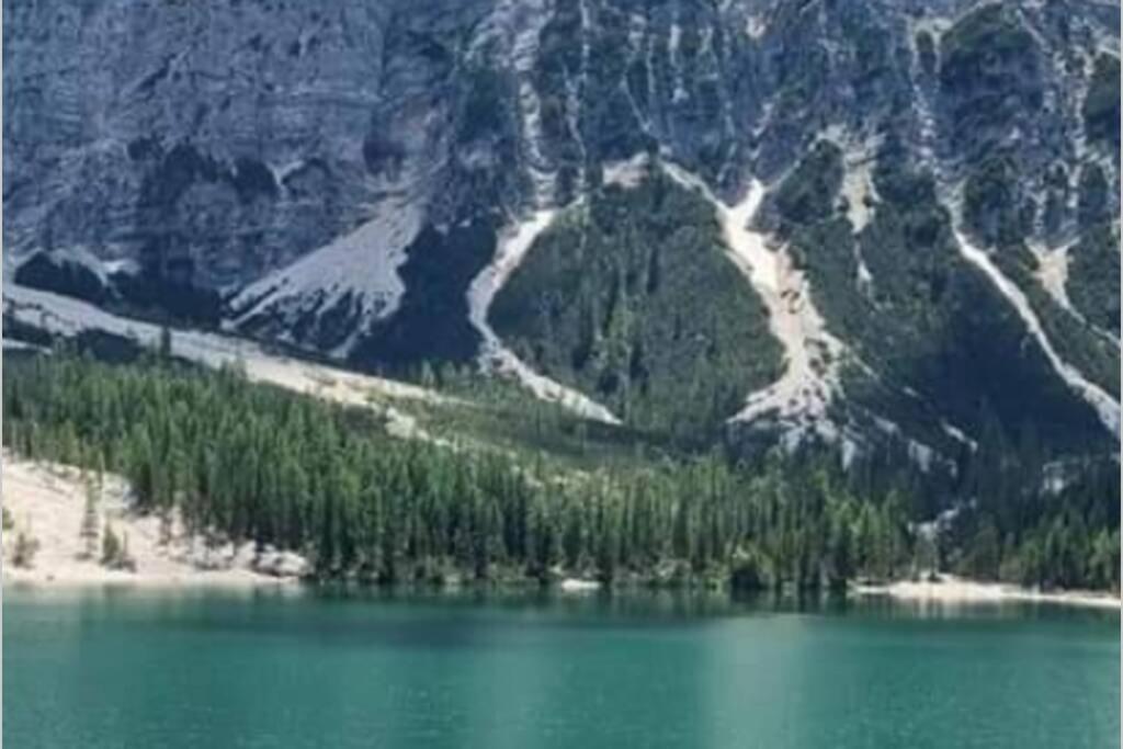 Relax Al Lago Di Braies ブラーイエス エクステリア 写真
